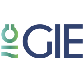 GIE AGSI+/ALSI logo